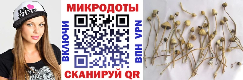 Псилоцибиновые грибы прущие грибы  продажа наркотиков  Переславль-Залесский 